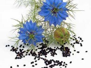 Çörek otunun bilinmeyen faydaları