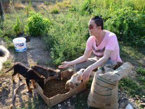 İzmirli şarkıcı Eylül Metin’den petshop tepkisi: “Sizde hiç vicdan yok mu”