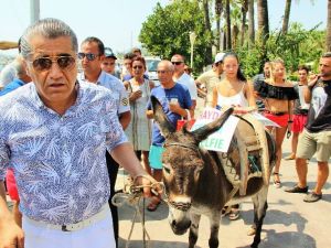 Ünlü türkücü Bodrum sokaklarında eşek gezdirdi, hayvan severler çıldırdı