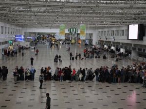 Akenerji, 150 bin ağacın temizleyeceği havayı temizledi