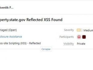 Türkler ABD, NSA ve Yahoo’da güvenlik açığı buldu