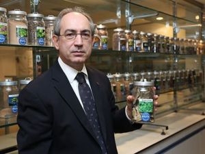 "Kadınlar, bitki özlü saç bakım ürünlerini tercih ediyor"