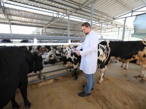 Karşıyaka, Kurban Bayramına hazır