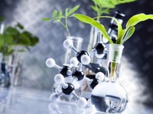 “Bitkisel ekstraktlar yaşam kalitesini yükseltmeye yardımcı oluyor”