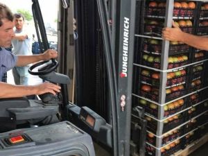 Çameli domatesinin pazarı genişliyor