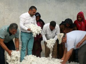 Pamuk tükenince borsada işlemler durdu