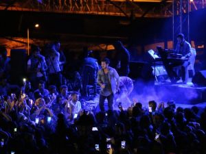 Ardahan 16. Ulusal Kültür ve Bal Festivali konserle sona erdi