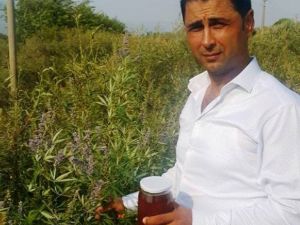 Aydın’ın hayıt balını markalaştırıp pazarlayacaklar