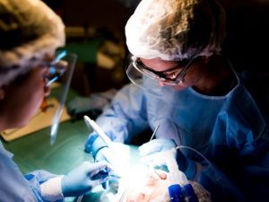 Hasta yakınlarından Kartal Belediyesi Çocuk Ağız ve Diş Sağlığı Merkezi’ne tam not