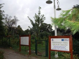 Kadıköy’deki okullarda hasat zamanı