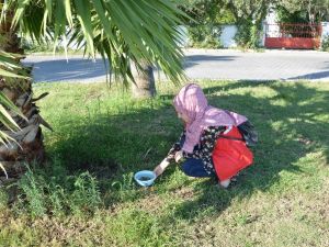 Öğrenciler sokak hayvanları için su kabı bıraktı