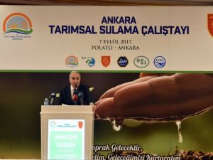 Bakan Fakıbaba: "Ülkemizde fipronilli yumurta tespit edilmemiştir"