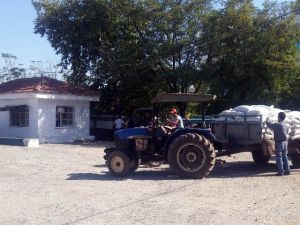 TARİŞ üzüm alımlarına başladı