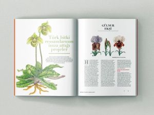 Z Dergisi yayın hayatına başladı