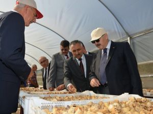 Vali Köşger: “Aydın’ı çok daha iyi bir noktaya getirmekte kararlıyız”