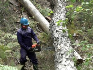Mondial, tarım aletleri satışına başladı