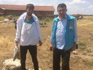 Aslanapalı genç çiftçiler devlete minnettar