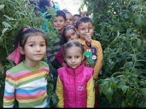 Altıntaş’ta ’sağlıklı besleniyoruz’ projesinin ilk ürünleri