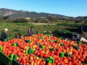 MÜSİAD Muğla Şube Başkanı Bayhan:
