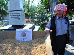 Alım garantili buğday üretim projesi başladı