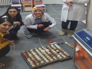 Anaokulu öğrencilerine hayvan sevgisi aşılıyorlar