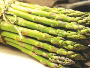 Kuşkonmaz her derde deva oluyor