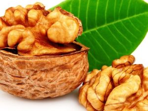 Cevizin beyin üzerine etkileri araştırıldı