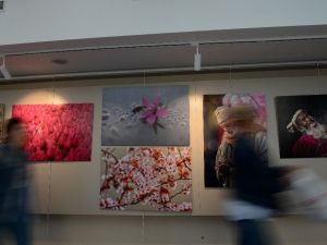 Meme kanserine karşı  ’Pembe Mutluluk’