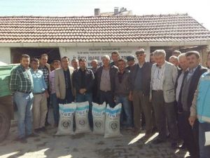 Aslanapa’da  51 çiftçiye Macar fiği tohumu dağıtıldı