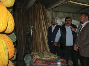 MAGİAD kavun üreticileriyle buluştu