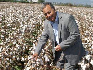 Söke Ziraat Odası’ndan ’Pamuğunuzu hemen satmayın’ önerisi