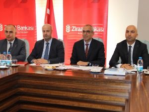 Yastık altında 100 milyar dolar var