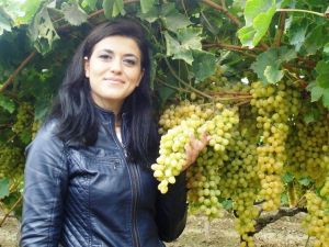 Örtü sayesinde üzümler dalında bekliyor