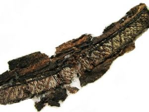 Viking cenaze giysilerine ’Allah’ ve ’Ali’ isimlerinin işlendiği tespit edildi