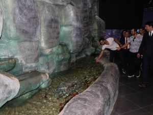 Diyarbakır’ı ‘Anadolu Ateşi’ sardı