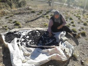 Eriğin inanılmaz faydaları