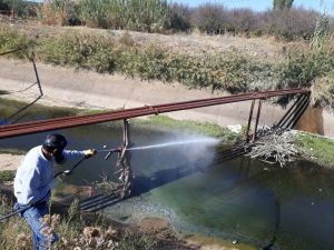 Halk sağlığı için ilaçlama çalışmaları devam ediyor