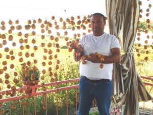 Sarıgöl’de cennet elmasının kurutulmasına başlandı