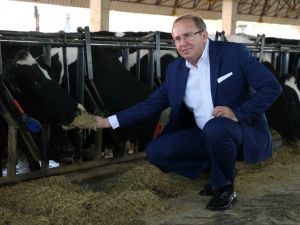 Sütler el değmeden sağılarak şişeleniyor