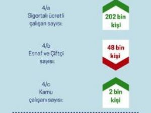 İstihdam 1 yılda 834 bin, 1 ayda 202 bin arttı