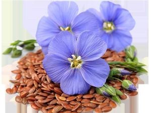 Doymamış yağ asitlerinin bitkisel kaynağı, keten