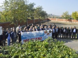 Üreticilere zeytin ve badem fidanı desteği