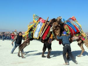 Mersinli deve güreşine hazırlanıyor