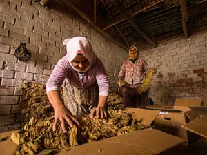 MAFOD, sanat yaşamına ödüllerle başladı