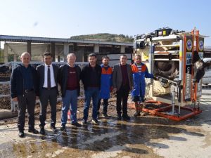 Büyükbaş hayvanlara tırnak bakımı uyarısı