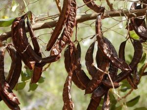 “Mevsim değişikliği ile değişime uğramayın”