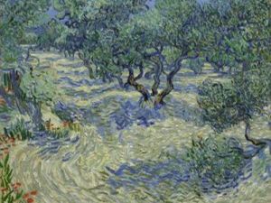 Van Gogh’un tablolarından birinde çekirge bulundu