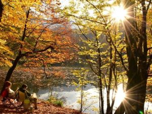Manisalı fotoğrafçılar sonbaharın renklerini Yedigöller’de fotoğrafladı