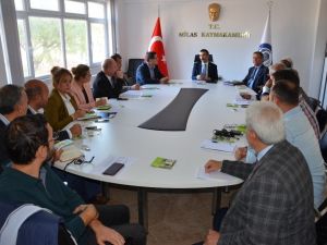 4. Milas Zeytin Hasat Şenliğine son şekli verildi