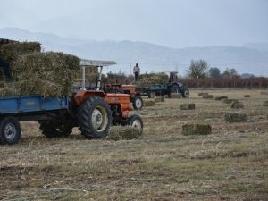 Alaşehir Belediyesinden üreticiye 150 ton ücretsiz yem desteği